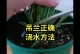 金边吊兰烂的原因及处理方法（保养金边吊兰的关键技巧和常见问题解答）