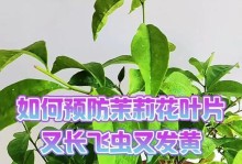 茉莉花叶子变黄怎么办？（解决方法及常见原因分析）