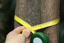 以二乔玉兰为主题的胸径测量方法研究（从实践中总结的胸径测量关键技术及应用探索）