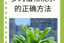 夏天多肉植物的浇水技巧（全面了解夏季多肉植物的浇水需求，为它们提供适宜的生长环境）