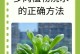 夏天多肉植物的浇水技巧（全面了解夏季多肉植物的浇水需求，为它们提供适宜的生长环境）
