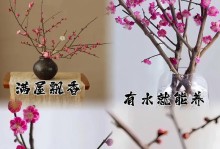 冬天养红梅的技巧（赏冬花，红梅不凋零）