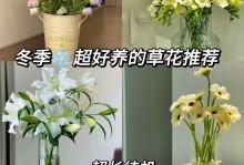 风铃草在室内养护的全面指南（了解风铃草的养护方法，让它在你家“清风徐来”）