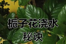 栀子花浇水过多的处理方法（如何防止栀子花浇水过多引起的问题及处理技巧）