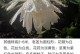 昙花开放的美丽与哲理（人生如昙花，把握转瞬即逝的美好）