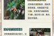 冬季如何护理虎刺梅（细致呵护，让虎刺梅在寒冷的冬天盛放）