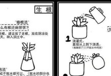多肉植物兜的养护指南（室内养护技巧让你的兜兜更美丽）
