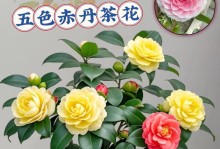 山茶花小树苗修剪（掌握修剪技巧，让山茶花更加繁茂）