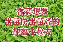 咖啡果如何快速发芽？（提高咖啡果发芽率的关键技巧）