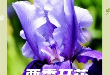 鸢尾花种子种植的全程指南（掌握鸢尾花种子种植技巧，打造美丽花园）