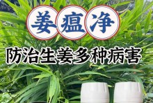 姜的最佳肥料（选择正确的肥料让你的姜越长越壮）