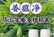 姜的最佳肥料（选择正确的肥料让你的姜越长越壮）