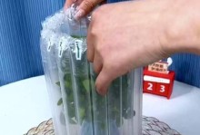如何正确浇水九里香（时间、方法和注意事项，让你的九里香茁壮成长）