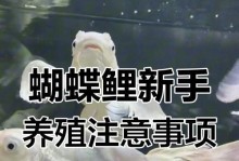 如何快速养育蝴蝶（掌握关键技巧助您成功孵化和培育蝴蝶）