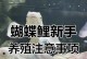 如何快速养育蝴蝶（掌握关键技巧助您成功孵化和培育蝴蝶）