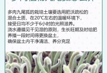 多肉植物养护指南——以根块类多肉植物怎么养（精选15个关键步骤，轻松打造繁茂多肉园）