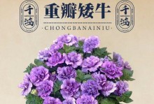 矮牵牛耐寒温度详解（了解矮牵牛的最佳生长条件）