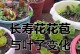 长寿花露天养殖指南（室外养殖的技巧和注意事项）