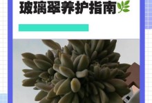 打造花园的瑰宝——重瓣玻璃翠花的养殖技巧（美丽多彩、生命力旺盛的重瓣玻璃翠花让花园更加绚丽多姿）