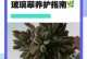 打造花园的瑰宝——重瓣玻璃翠花的养殖技巧（美丽多彩、生命力旺盛的重瓣玻璃翠花让花园更加绚丽多姿）