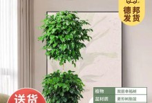 幸福树的果子美味多样享不尽（探索幸福树果子的美食世界）