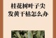 冬季黄杨叶子枯黄原因及处理方法（探究黄杨叶子枯黄的原因，提供针对性解决方案）