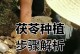 从树桩到生机盎然（重生之路，旧树开新花）