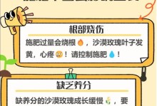 玫瑰花叶子不长，教你如何解决（从土壤到施肥，教你让玫瑰花长出漂亮的叶子）
