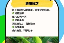 金钻发黄了怎么办？（保养技巧和清洁方法，轻松让金钻重现光彩）