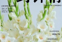 剑兰花的养护指南（从选购到繁殖，打造美丽花坛的首选之花）