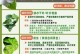 栀子花底下叶子发黄的原因及处理方法（解析栀子花叶子发黄的因素以及有效的处理办法）