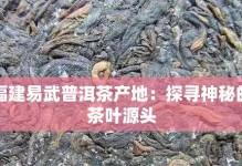 普洱茶的产地是哪里？——探访普洱茶的故乡