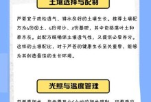 快速补救芦荟干燥问题的方法（如何迅速恢复芦荟的水分和活力）