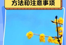 腊梅换盆叶子发黄的解决方法（如何正确处理腊梅换盆后出现的叶片发黄问题）