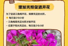揭秘花朵不开花的原因（探索植物生长中的奥秘，解读花朵不开放的现象）