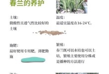 以软植料怎么养兰花（室内兰花养护小窍门，）