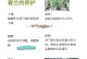 以软植料怎么养兰花（室内兰花养护小窍门，）