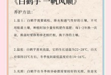 以一帆风顺花变绿了——如何正确修剪植物（让植物焕发生机，从修剪开始）