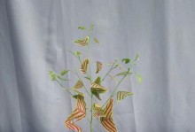 胡蝶花的养护秘籍（胡蝶花的种植、浇水、施肥和病虫害防治）