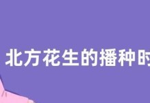 花生种植与收获全攻略（掌握正确的种植时间和收获时间，丰收不再是难题）