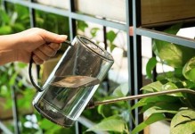 空调冷凝水能否浇花？正确的浇花方法是什么？（环保新方式，让空调冷凝水为植物增绿添彩）