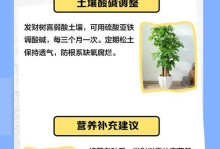 如何救治发财树叶子黄烂的情况（发财树叶子黄烂了怎么办？一起来看看专家的建议吧！）