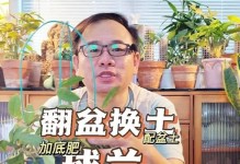以球兰换盆叶子为何蔫了（探究换盆导致以球兰叶子蔫萎的原因与解决方法）