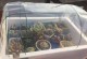 冬天如何保暖室内植物（家里养的植物需要特殊关照，）
