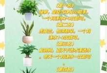 如何对已种好的花进行消毒（保护花朵健康成长的必要步骤）