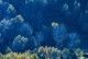 碧玉的浇水技巧（春夏秋冬，各有不同）