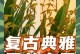 初次养墨兰的注意事项（探索墨兰养护的诀窍）