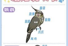 培养白头翁乖巧的养殖技巧（白头翁养殖，让它变得听话好养）