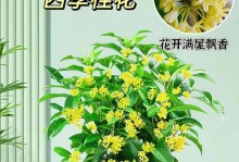 以四季桂怎么养植（全面指南，打造美丽园林）