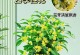 以四季桂怎么养植（全面指南，打造美丽园林）